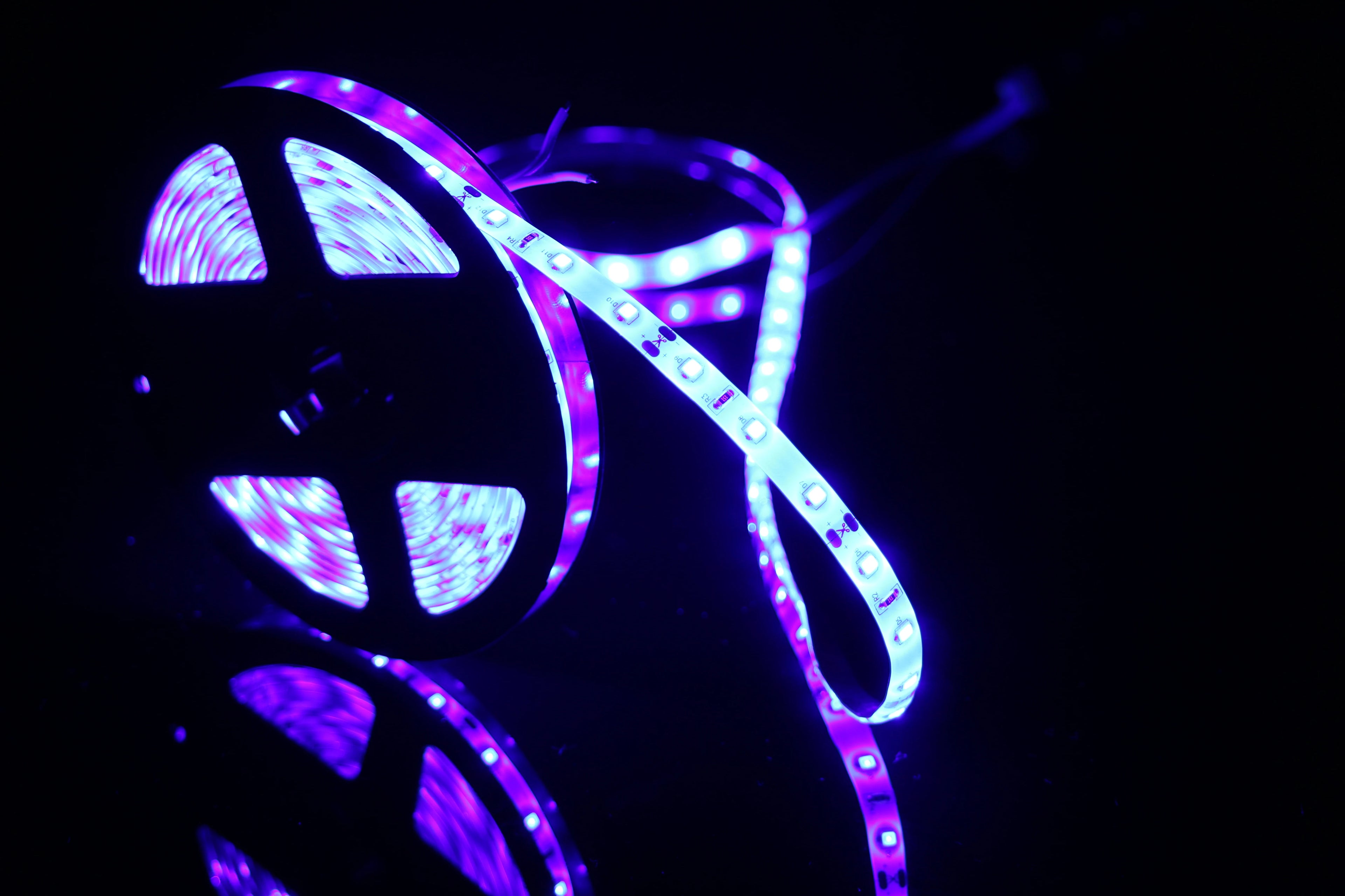 DIY LED U-HOME 5M 2835SMD 300leds 440nm-450nm LED Strip Light Waterproof IP65 USA Shipping - Blue-Purple / 21-30W