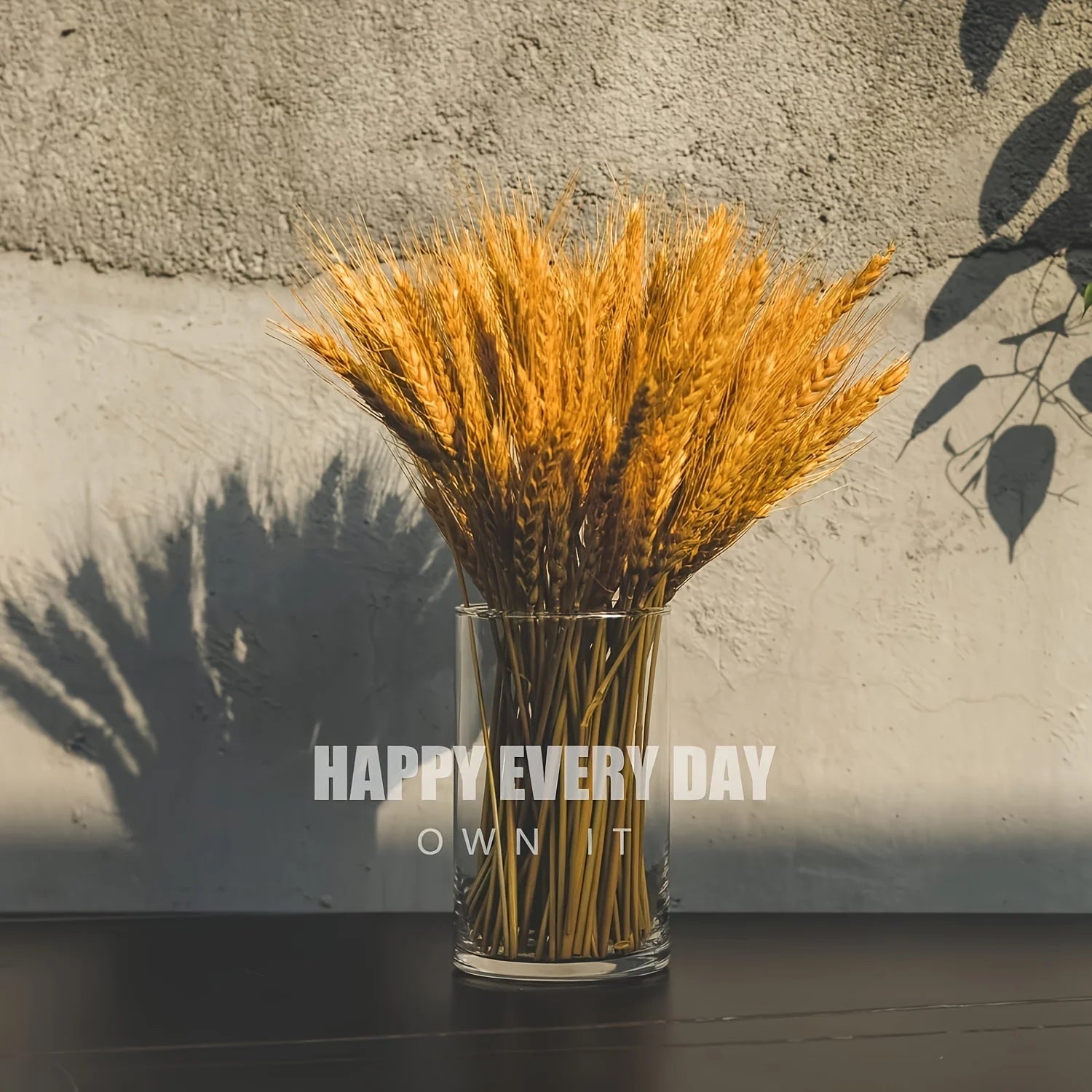 Glass Cylinder Vase 5.5 英寸 6 英寸 Tall Clear Vase Hurricane Candle Holder for Wedding Party Home Decor