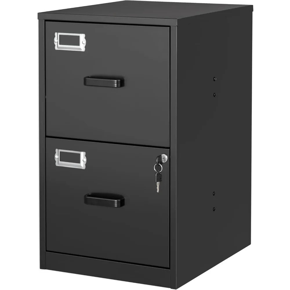 2 Drawer File Cabinet with Lock Vertical Filing Storage Cabinet Office Home Steel Vertical File Cabinets for Letter
