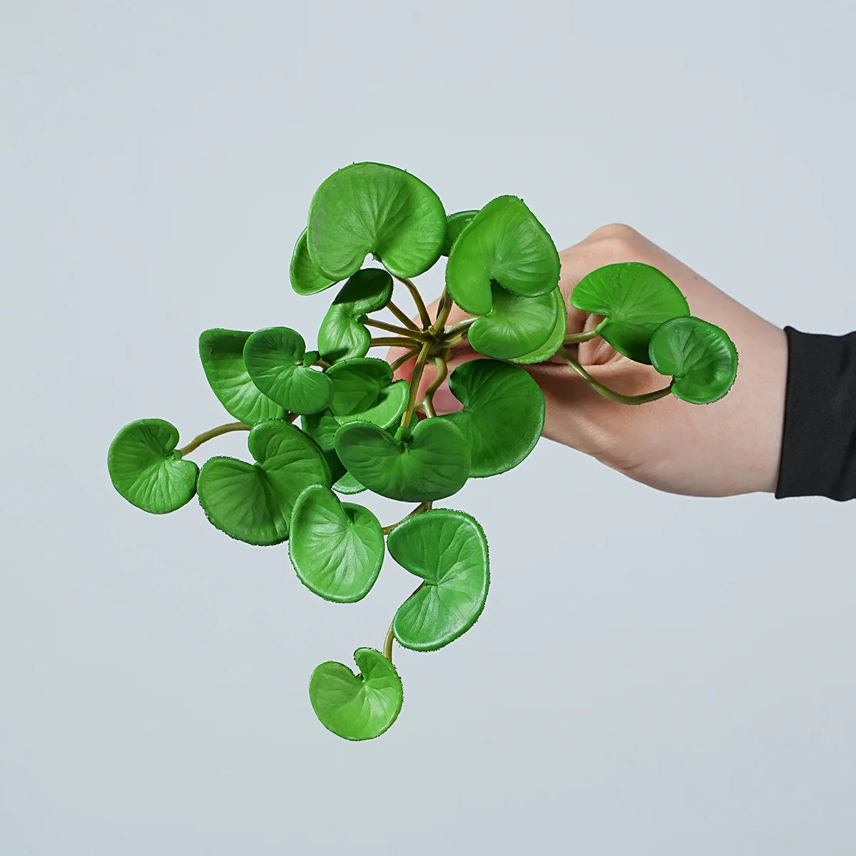 17CM Artificial Plant Mini Bouquets Copper Coin Grass Soft Rubber False Green Plants Wall Hung for Home Office Garden