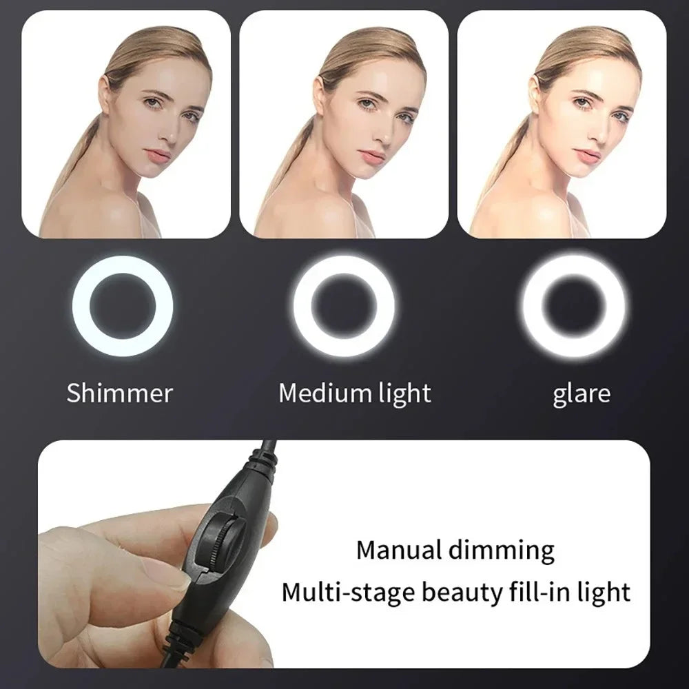 4K 2K 1080P Webcam Light Control Full HD 8MP Webcam PC Laptop Auto Focus Live Streaming Flexible with Microphone Live