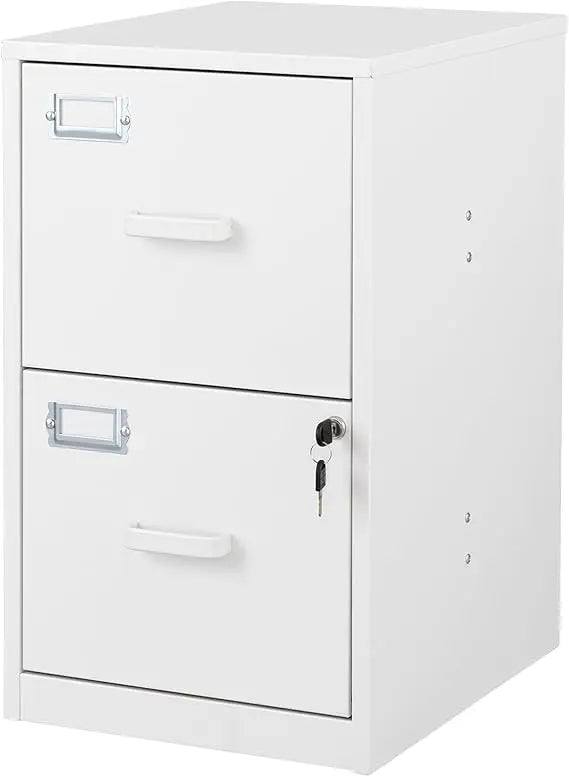 2 Drawer File Cabinet with Lock Vertical Filing Storage Cabinet Office Home Steel Vertical File Cabinets for Letter