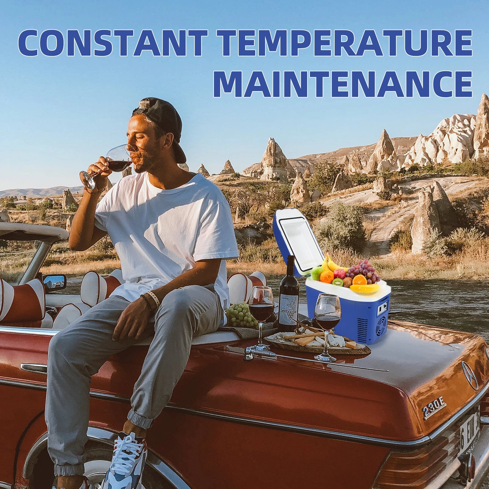 iceBlue Camping Portable Mini Fridge 7L/9Can Home Car Dual-sue Refrigerator Cooler with DC 12V Cigarette Lighter Power