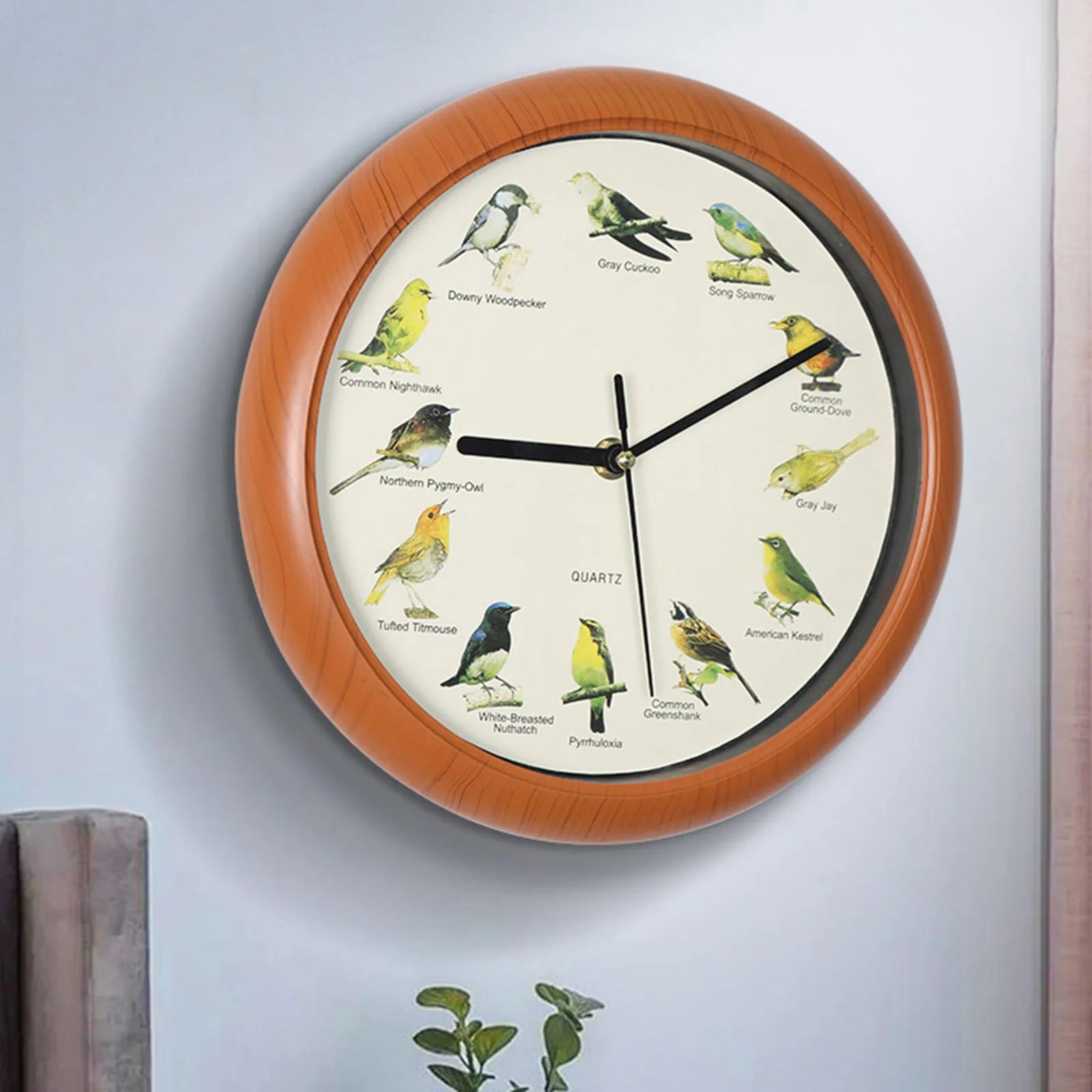 Wall Hanging Clock Decor Singing Bird Wall Clock Bird Clock With Sound Hanging Clock Decor for Kitchen Walls Shelf