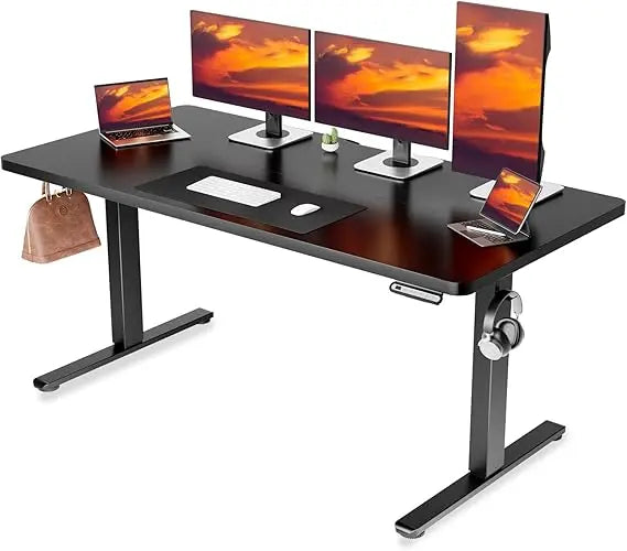 Electric Standing Desk 55 x 24 Inches Sit Stand up Desk with Memory Preset Controller Height Adjustable Ergonomic Home