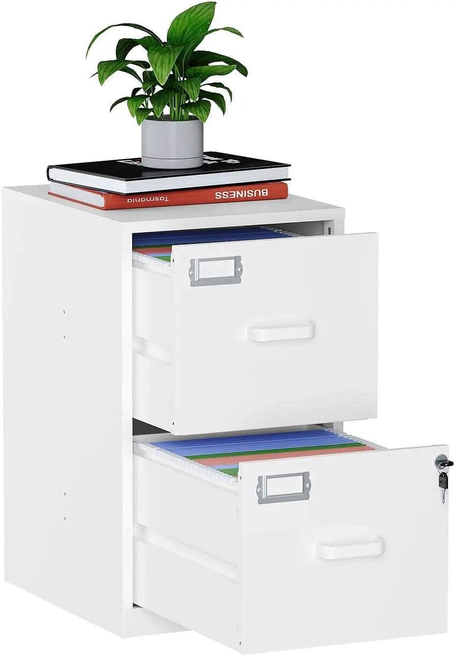 2 Drawer Filing Cabinet with Lock Metal Vertical File Cabinets for Home Office Lockable File Storage Cabinets Under