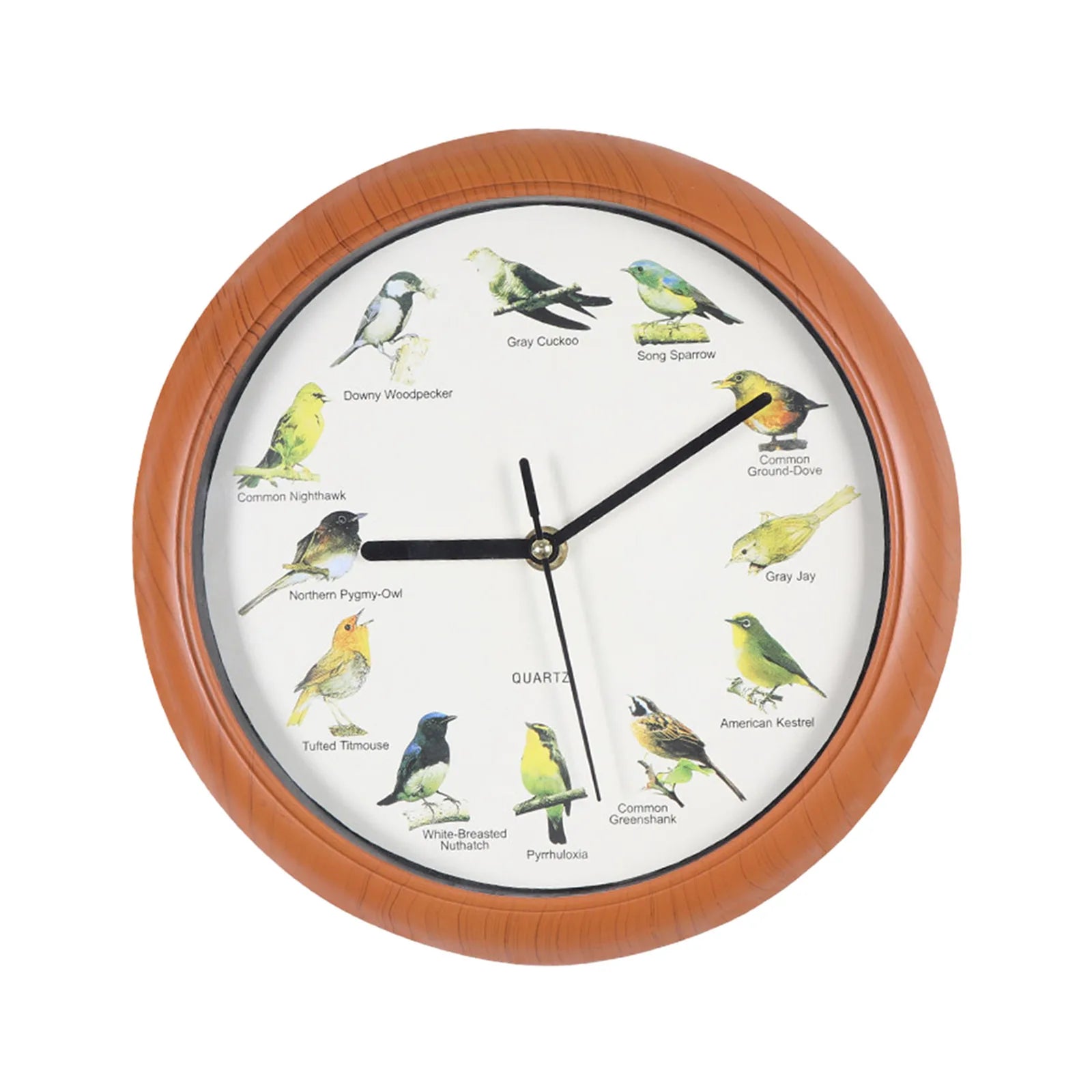 Wall Hanging Clock Decor Singing Bird Wall Clock Bird Clock With Sound Hanging Clock Decor for Kitchen Walls Shelf