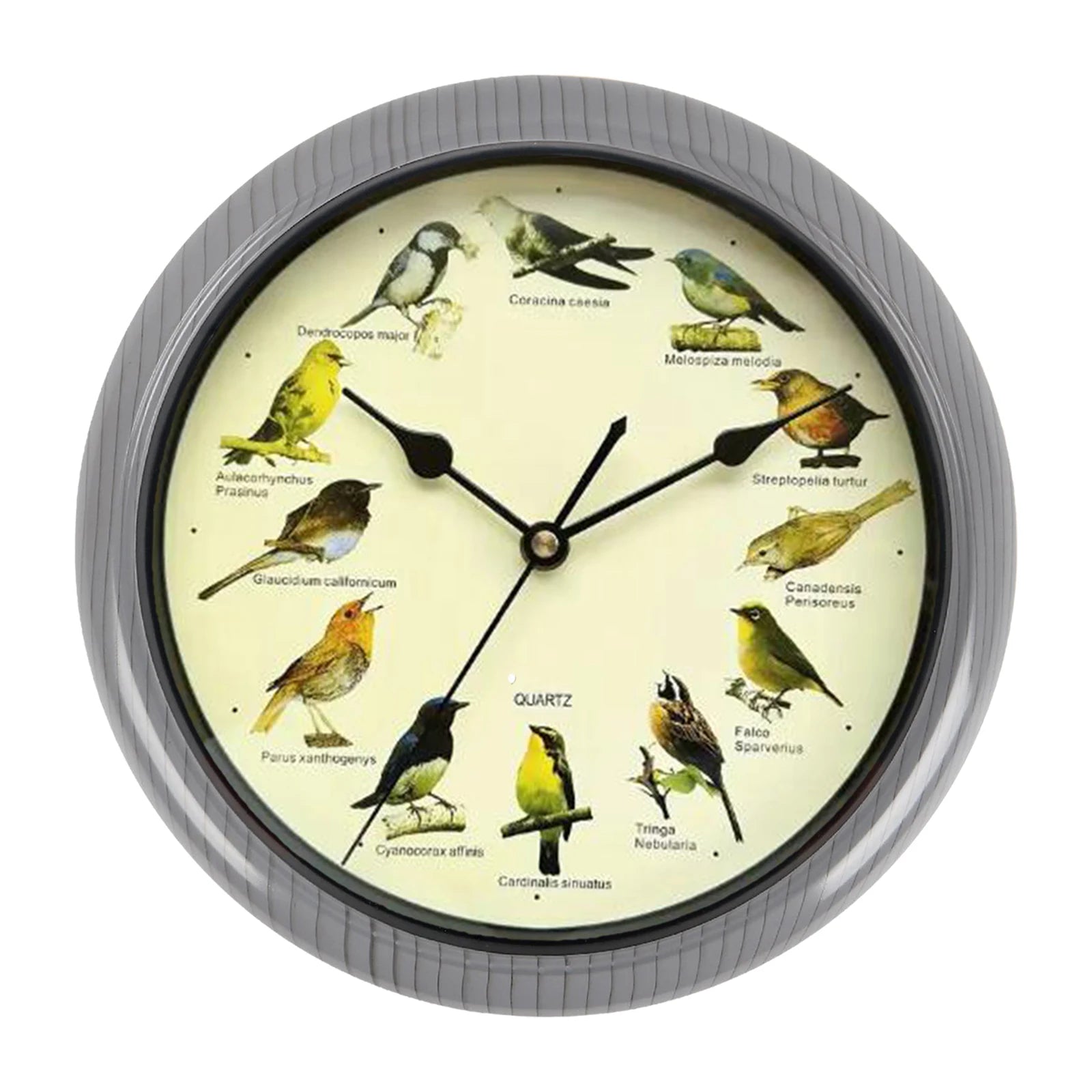 Wall Hanging Clock Decor Singing Bird Wall Clock Bird Clock With Sound Hanging Clock Decor for Kitchen Walls Shelf