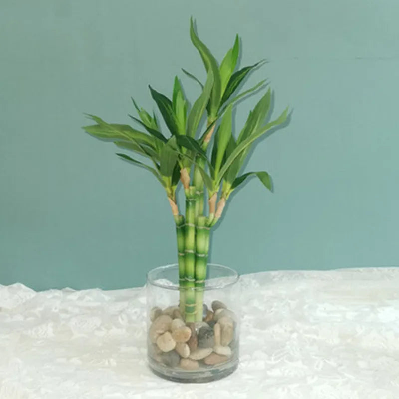 New 40cm rFtificial Lucky Bamboo Succulent Fake Plant Flower Green Potted Garden Outdoor Dining Table Fish Tank Home