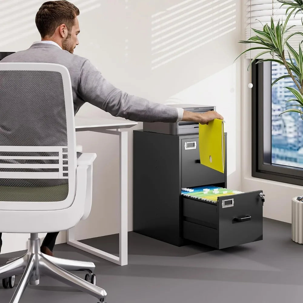 2 Drawer File Cabinet with Lock Vertical Filing Storage Cabinet Office Home Steel Vertical File Cabinets for Letter