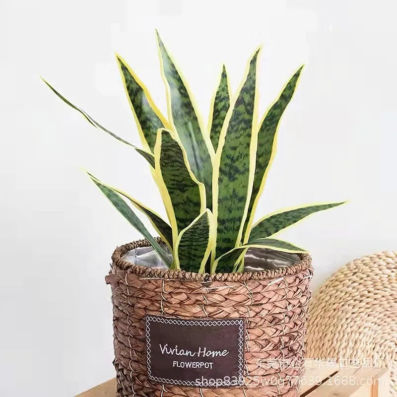 50-76CM Artificial Succulent Plants Tropical Fake Long Leaf Simulation Tiger Pilan Home Decoration Office Hotel Party