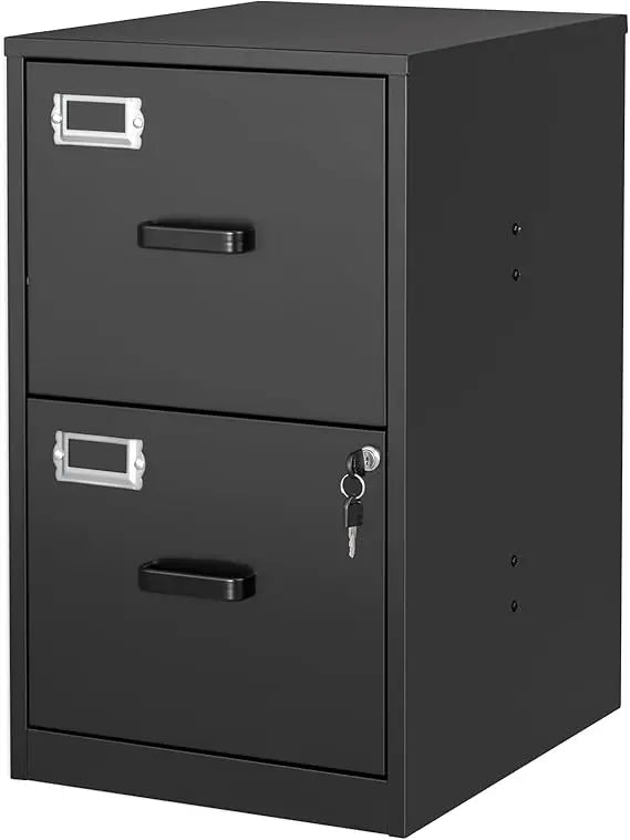 2 Drawer File Cabinet with Lock Vertical Filing Storage Cabinet Office Home Steel Vertical File Cabinets for Letter