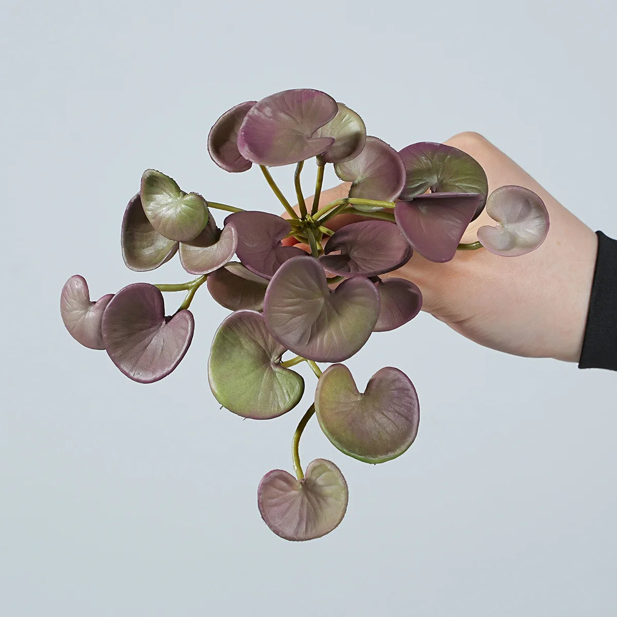 17CM Artificial Plant Mini Bouquets Copper Coin Grass Soft Rubber False Green Plants Wall Hung for Home Office Garden