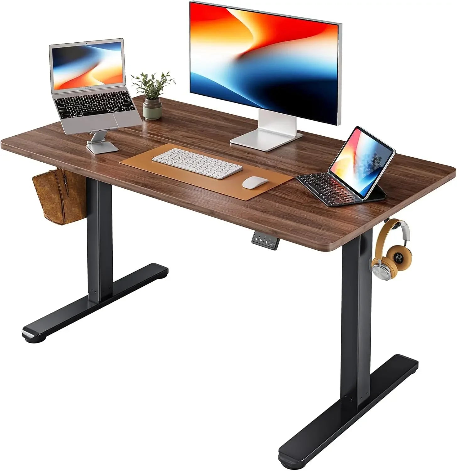 Electric Standing Desk 55 x 24 Inches Height Adjustable Stand up Desk Sit Stand Home Office Desk Computer Desk - Black