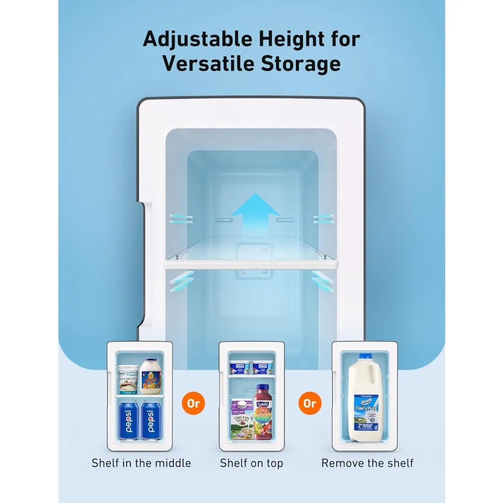 Mini Fridge 2.0 Gen 6 Liter/8 Cans Makeup Skincare Fridge 110V AC/ 12V DC Portable Thermoelectric Cooler and Warmer
