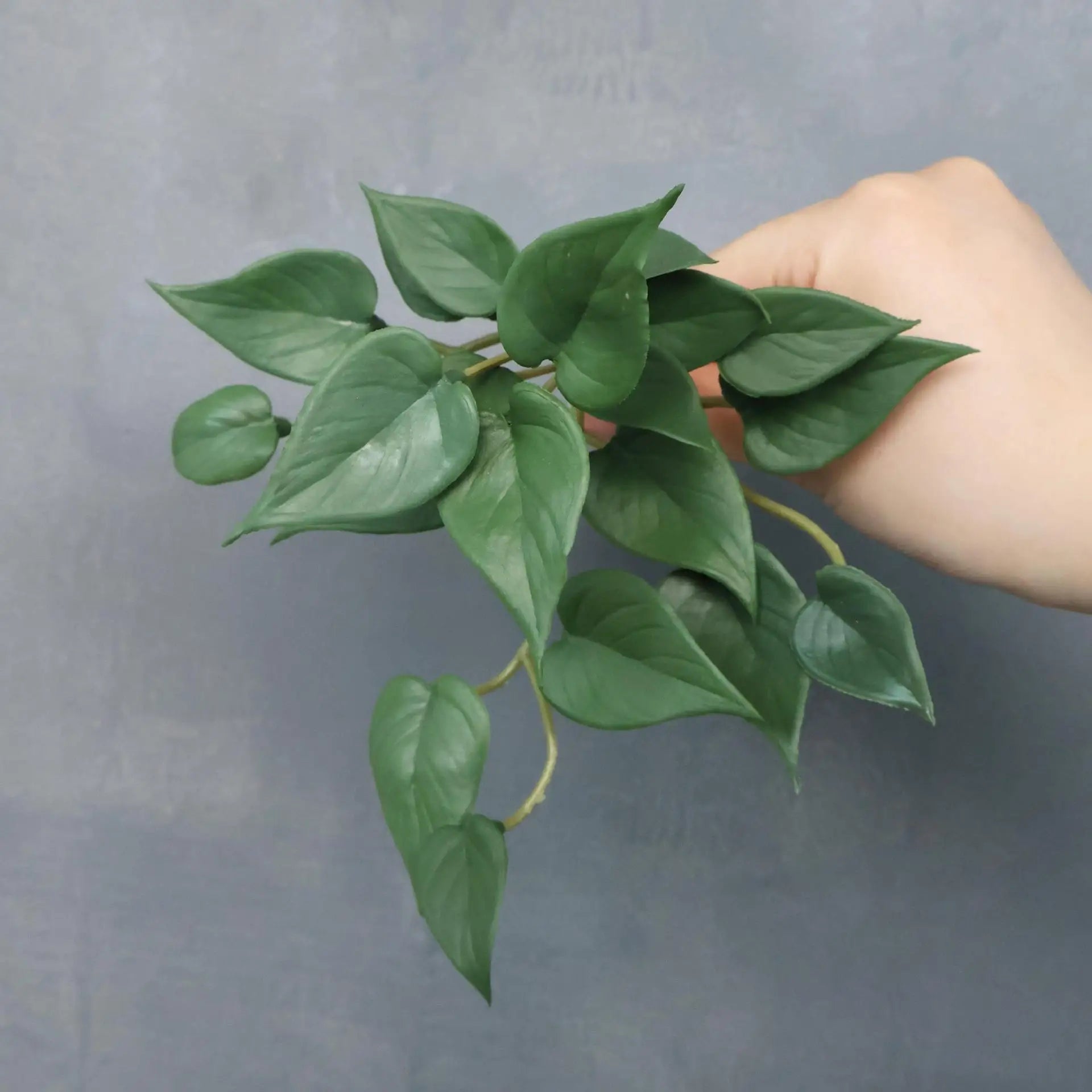 17CM Artificial Plant Mini Bouquets Copper Coin Grass Soft Rubber False Green Plants Wall Hung for Home Office Garden