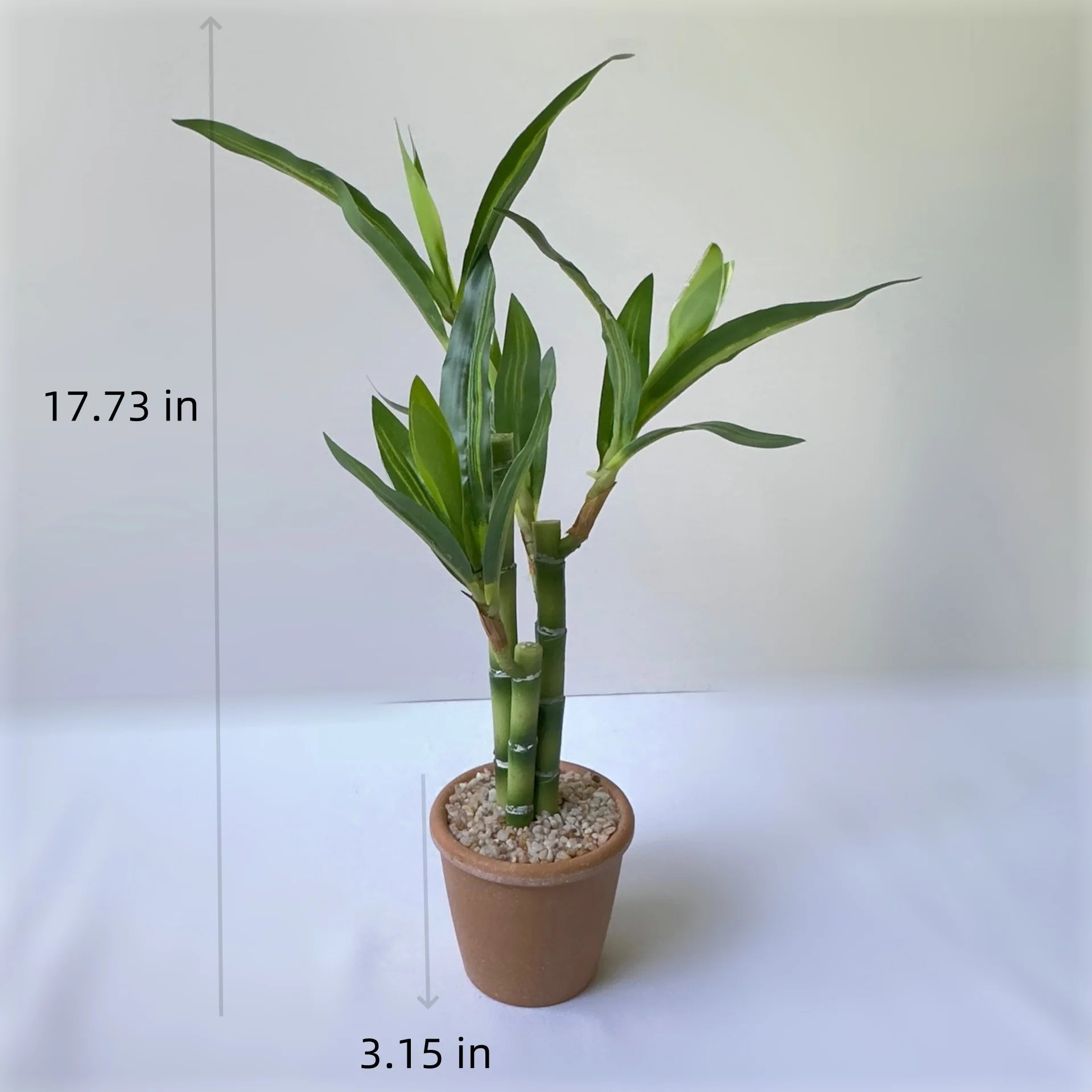 Artificial Lucky Bamboo Plant Green Potted Garden Outdoor Living Room Desktop Aesthetic Space Tropical Rainforest Home