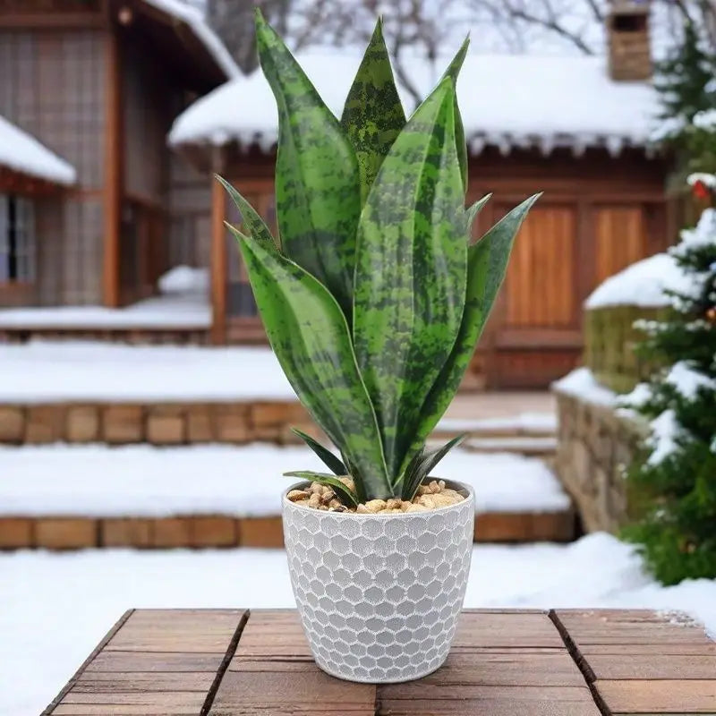 35cm-artificial-succulent-plants-tiger-orchid-indoor-and-outdoor-aloe-vera-tropical-fake-leaves-room-desktop-party-home-decor