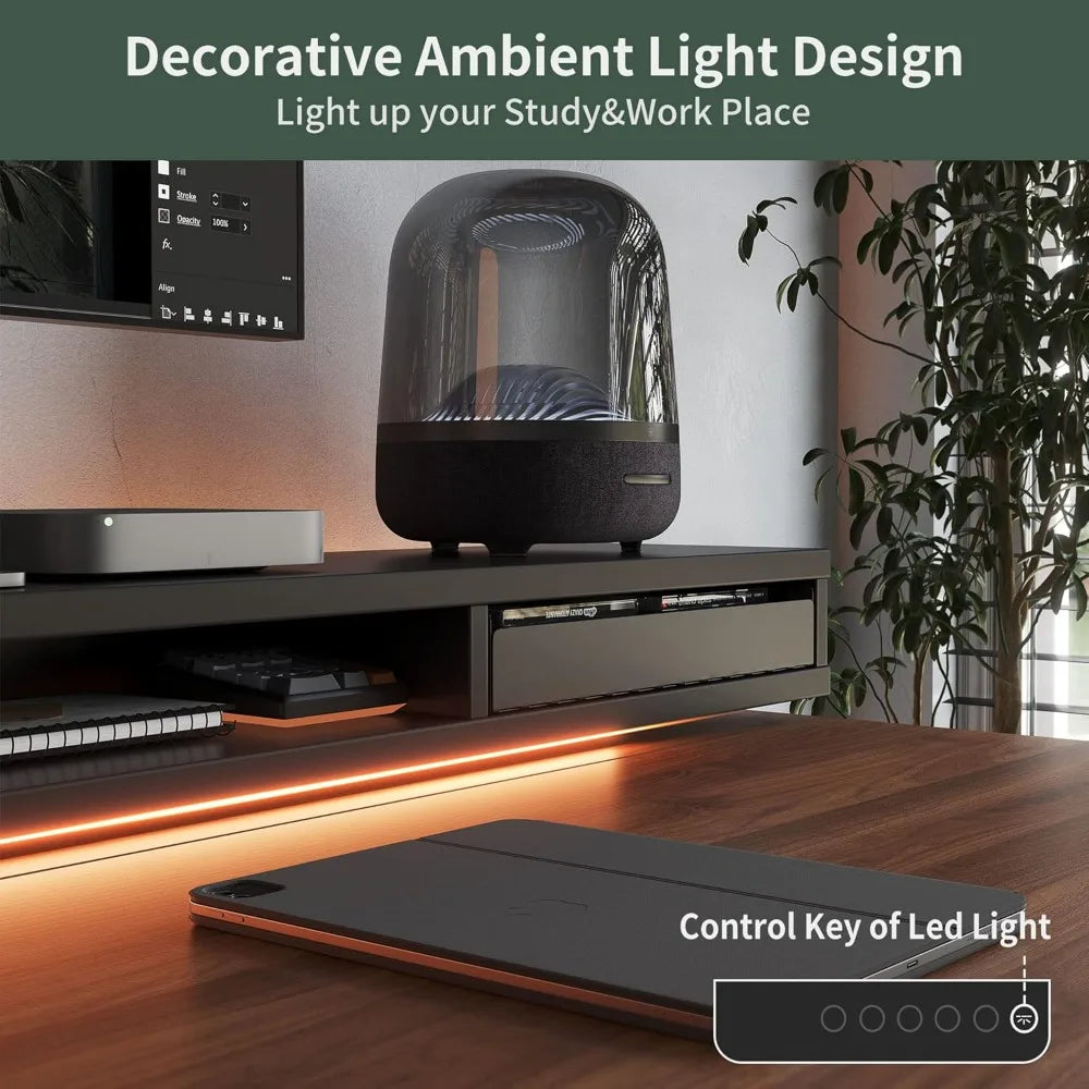 Height Adjustable Electric Standing Desk with Double Drawers Stand Up Desk with LED Strips Sit Stand Desk with Monitor