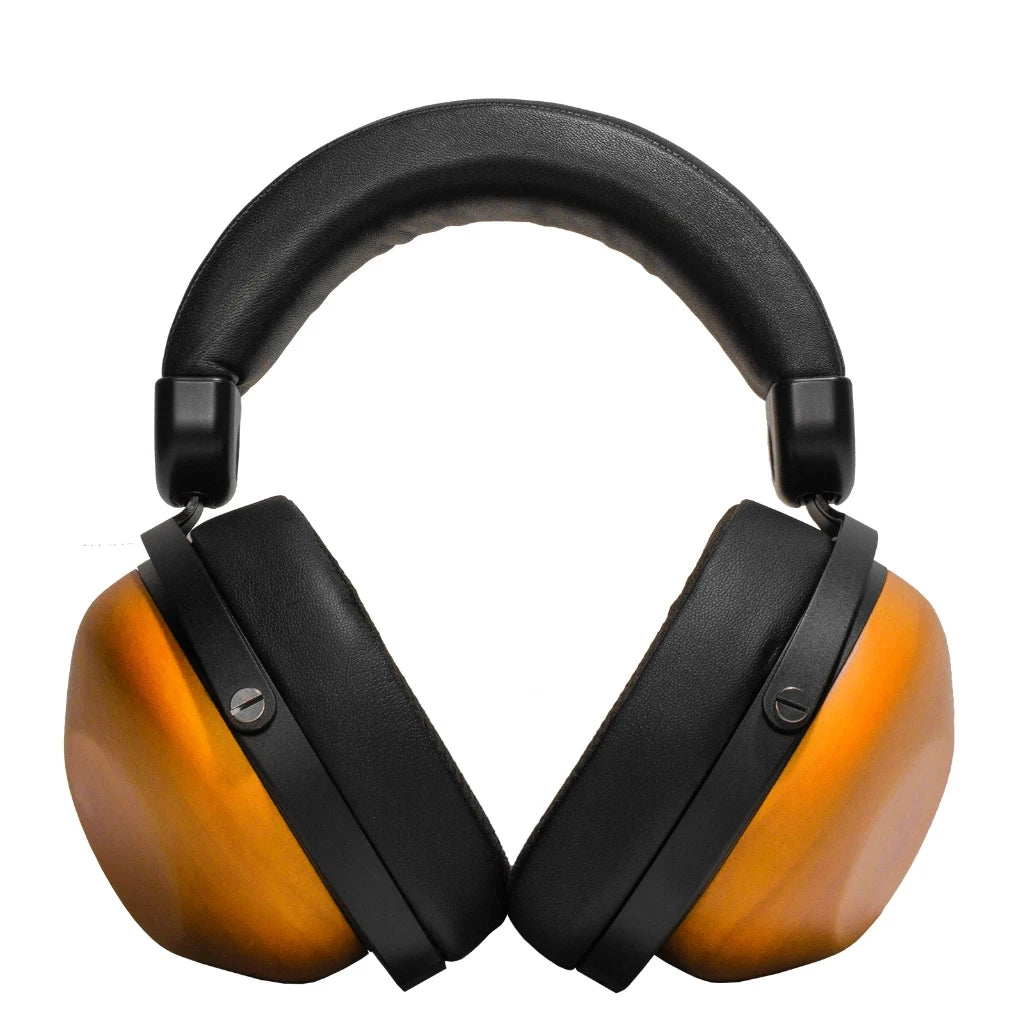 HIFIMAN HE-R10D Dynamic Topology Driver Close-Back Over-Ear Headphones for Home Studio and Recording-Wired/Wireless