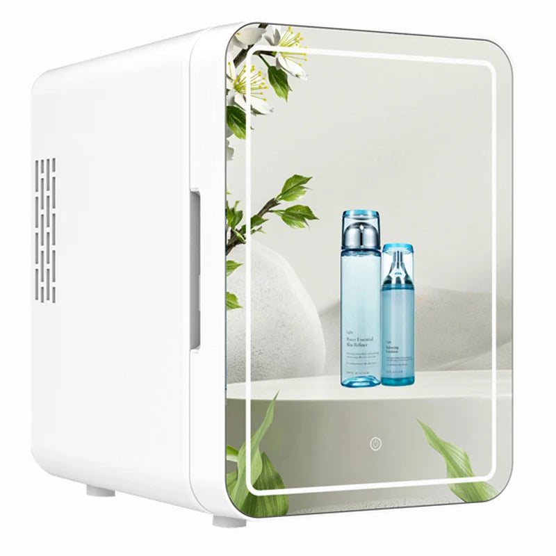 4L Mini Makeup Fridge WIth LED Light Mirror Portable Cosmetic Storage Refrigerator Keep fresh Cooler for Home Car Dual