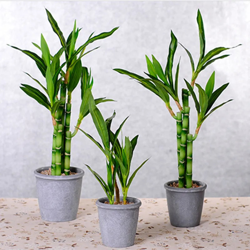 New 40cm rFtificial Lucky Bamboo Succulent Fake Plant Flower Green Potted Garden Outdoor Dining Table Fish Tank Home