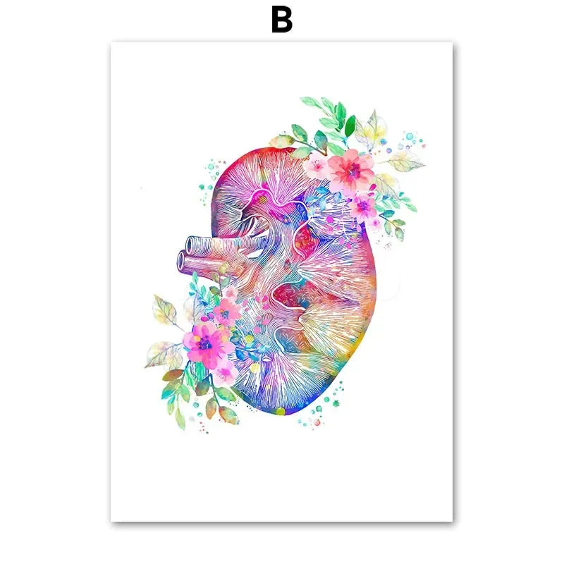 Heart Brain Lungs Kidney Rib Cage Liver Medical Floral Anatomy Poster Wall Art Canvas Print Painting Doctor Office