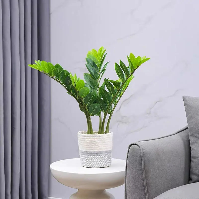 40-70cm Fake Ficus Tree Artificial Money Leaf Plants Plastic Banyan Leaves Real Touch Zamioculcas Plants For Home Shop