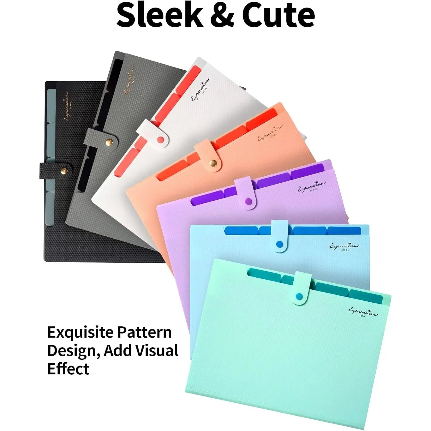 Expandable File Folder Letter Size Organ Organizer 5 File Pockets Portable Organizer for School Office Supplies - 5