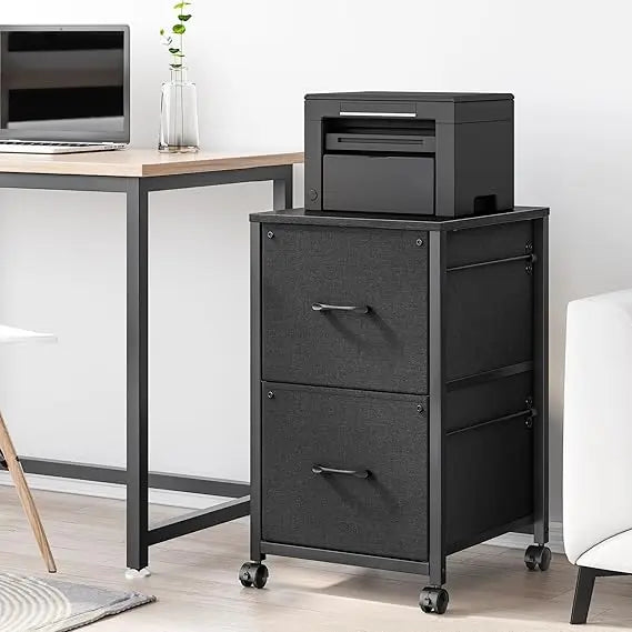 File Cabinet 2 Drawer Fabric Filing Cabinet Small Rolling Printer Stand Lateral Filing Cabinets Fits A4 Letter Legal