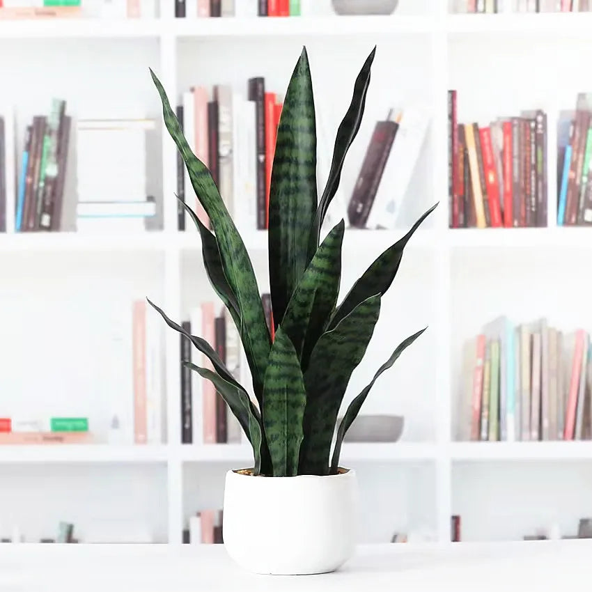 50-76CM Artificial Succulent Plants Tropical Fake Long Leaf Simulation Tiger Pilan Home Decoration Office Hotel Party