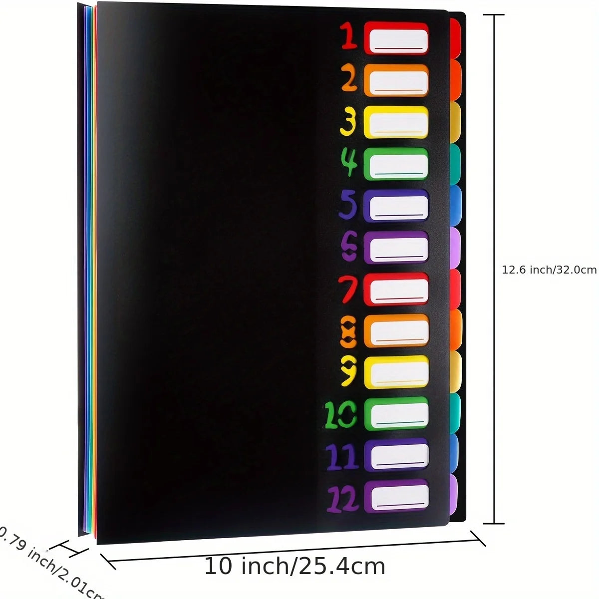 Multi-Layer A4 Folder with Rainbow-Colored Tabs & Monthly Dividers - Durable Plastic Document Organizer for School