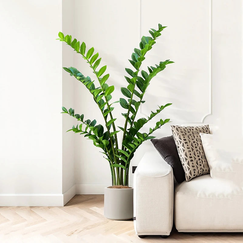 40-70cm Fake Ficus Tree Artificial Money Leaf Plants Plastic Banyan Leaves Real Touch Zamioculcas Plants For Home Shop