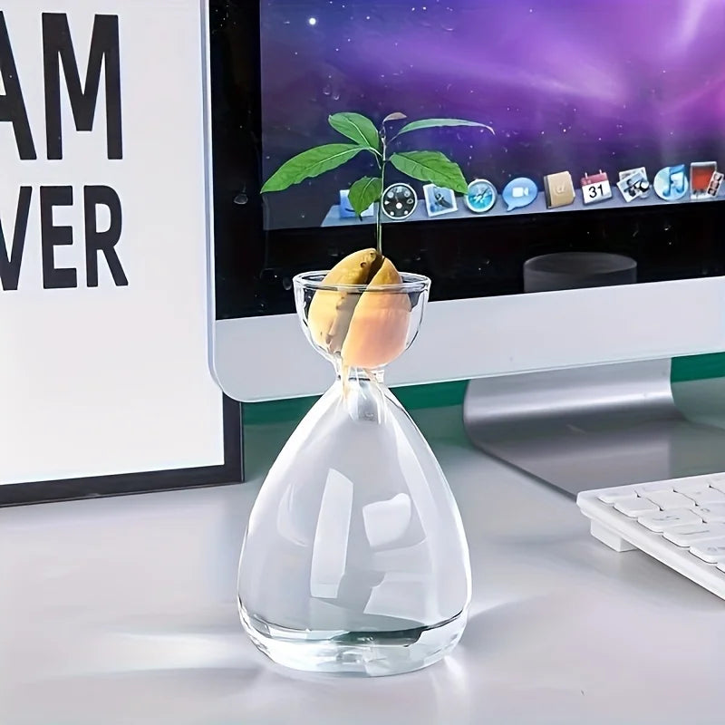 2/6pcsSmall Avocado Seed Starter Vase Avocado Tree Growing Kit Avocado Glass Plant Pot Vase Gifts For Gardening Lovers