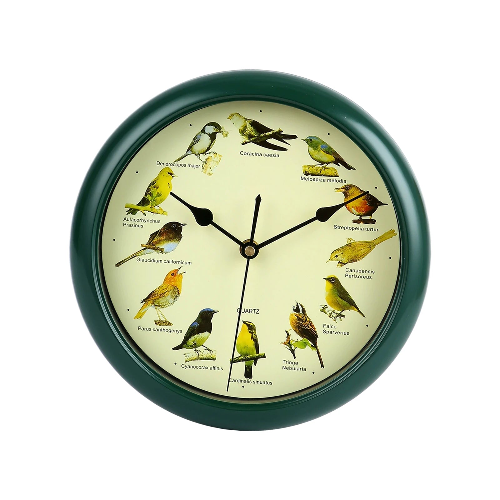 Wall Hanging Clock Decor Singing Bird Wall Clock Bird Clock With Sound Hanging Clock Decor for Kitchen Walls Shelf