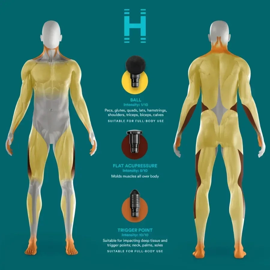 Professional Rechargeable Massage Gun for Deep Tissue Therapy | Percussion Muscle Pain Relief for Athletes & Recovery