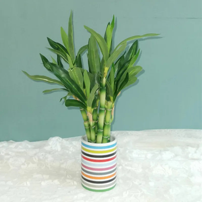 New 40cm rFtificial Lucky Bamboo Succulent Fake Plant Flower Green Potted Garden Outdoor Dining Table Fish Tank Home