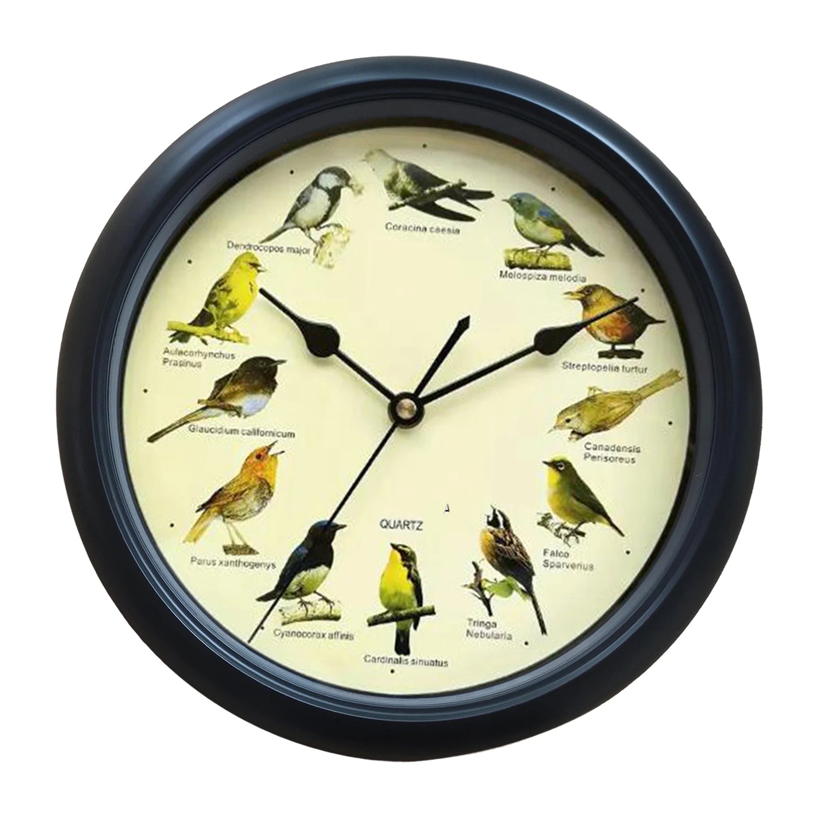 Wall Hanging Clock Decor Singing Bird Wall Clock Bird Clock With Sound Hanging Clock Decor for Kitchen Walls Shelf