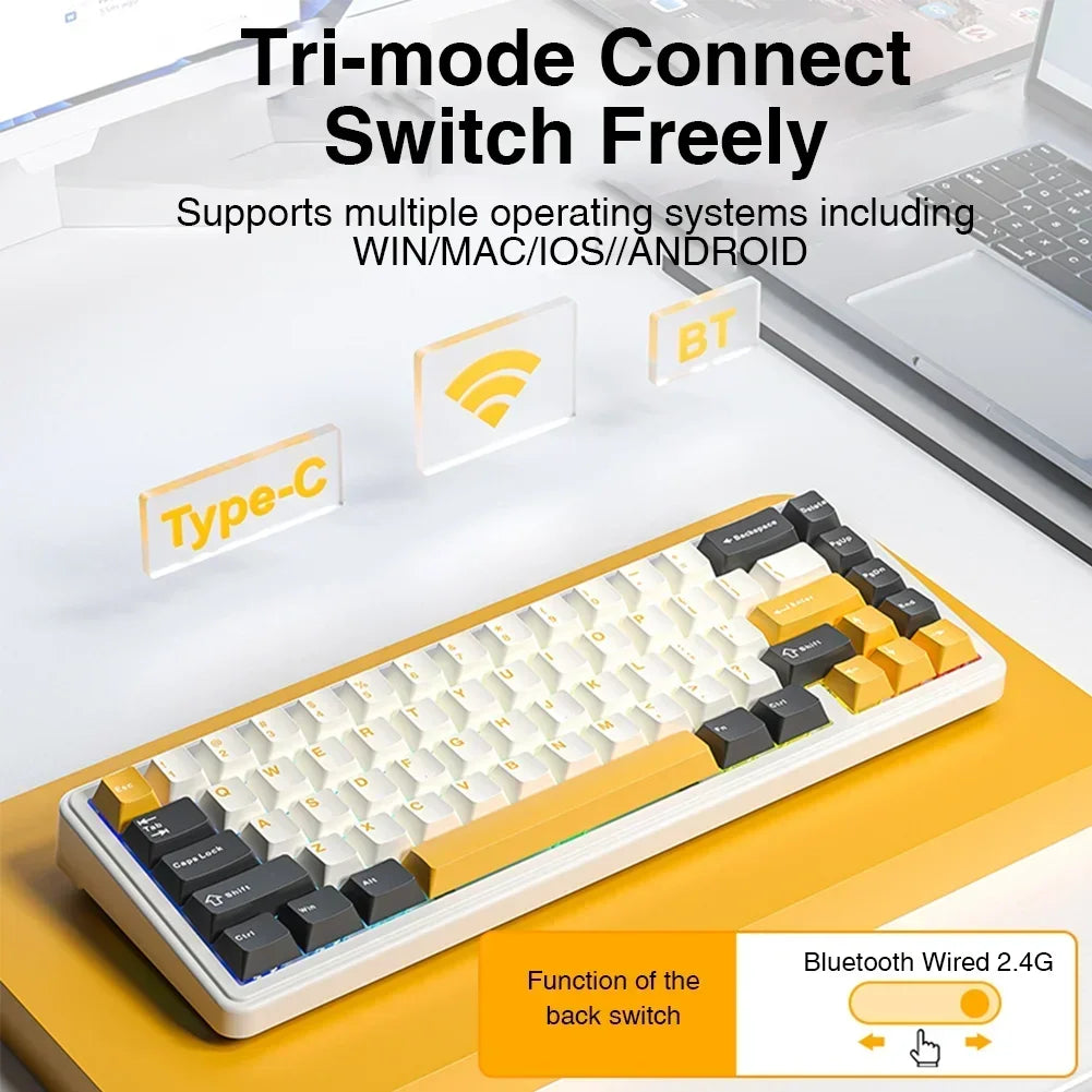 AULA F65 65% Layout Hot-Swap Gasket-mounted Wireless Mechanical Keyboard Macro Software RGB Mini Gaming Keyboard