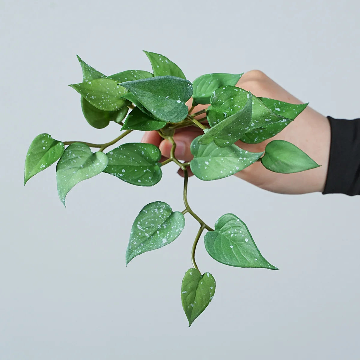 17CM Artificial Plant Mini Bouquets Copper Coin Grass Soft Rubber False Green Plants Wall Hung for Home Office Garden