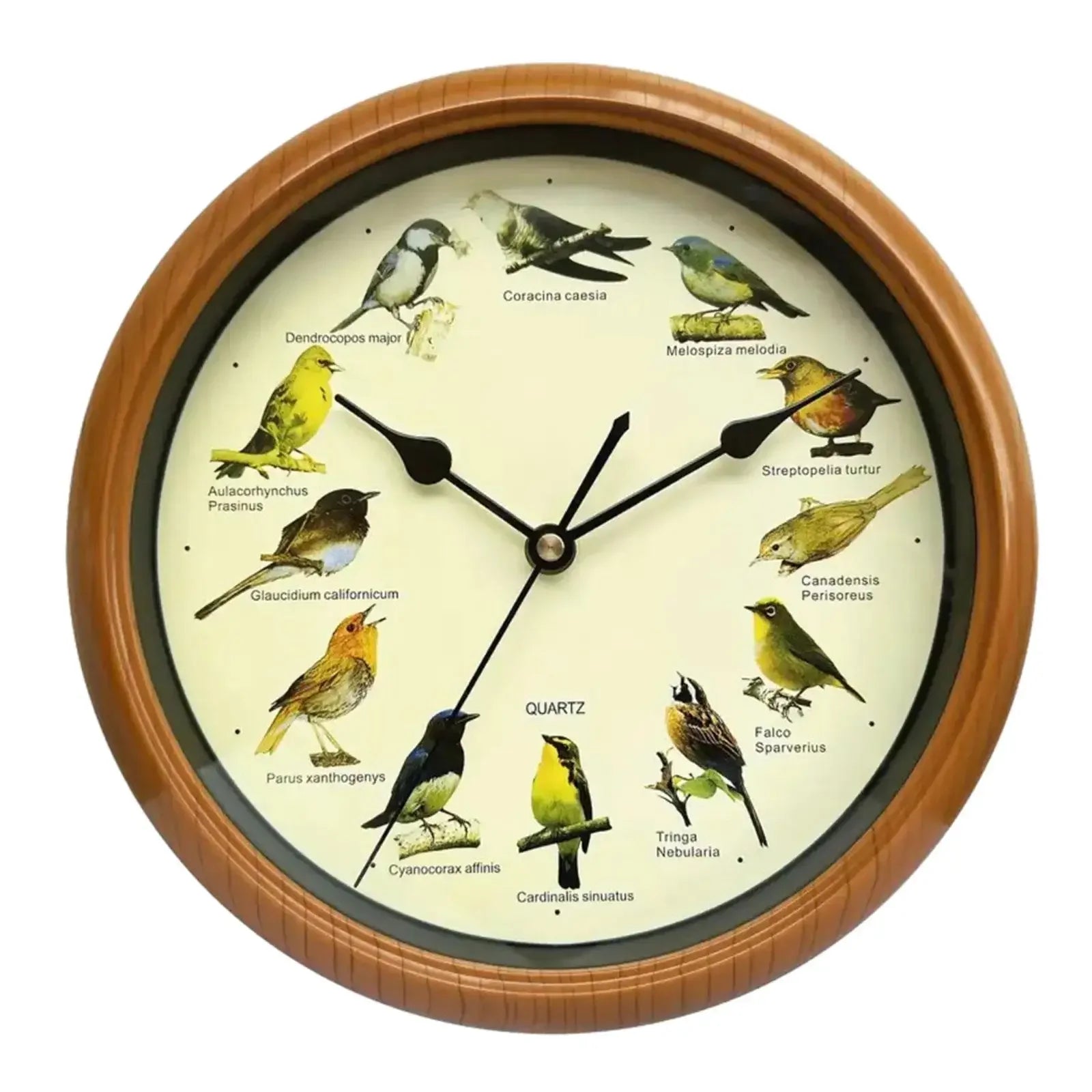 Wall Hanging Clock Decor Singing Bird Wall Clock Bird Clock With Sound Hanging Clock Decor for Kitchen Walls Shelf