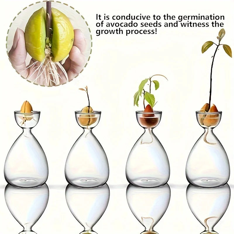 2/6pcsSmall Avocado Seed Starter Vase Avocado Tree Growing Kit Avocado Glass Plant Pot Vase Gifts For Gardening Lovers
