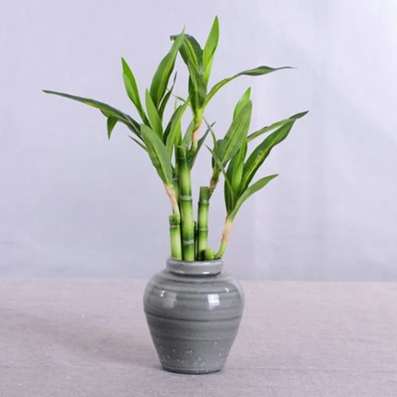 New 40cm rFtificial Lucky Bamboo Succulent Fake Plant Flower Green Potted Garden Outdoor Dining Table Fish Tank Home