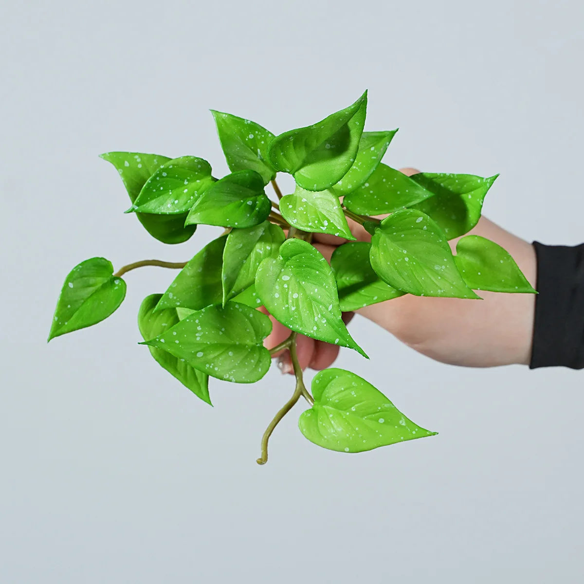 17CM Artificial Plant Mini Bouquets Copper Coin Grass Soft Rubber False Green Plants Wall Hung for Home Office Garden