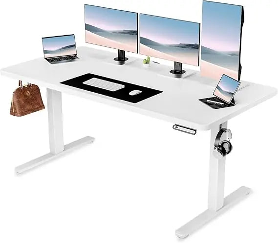 Electric Standing Desk 55 x 24 Inches Sit Stand up Desk with Memory Preset Controller Height Adjustable Ergonomic Home