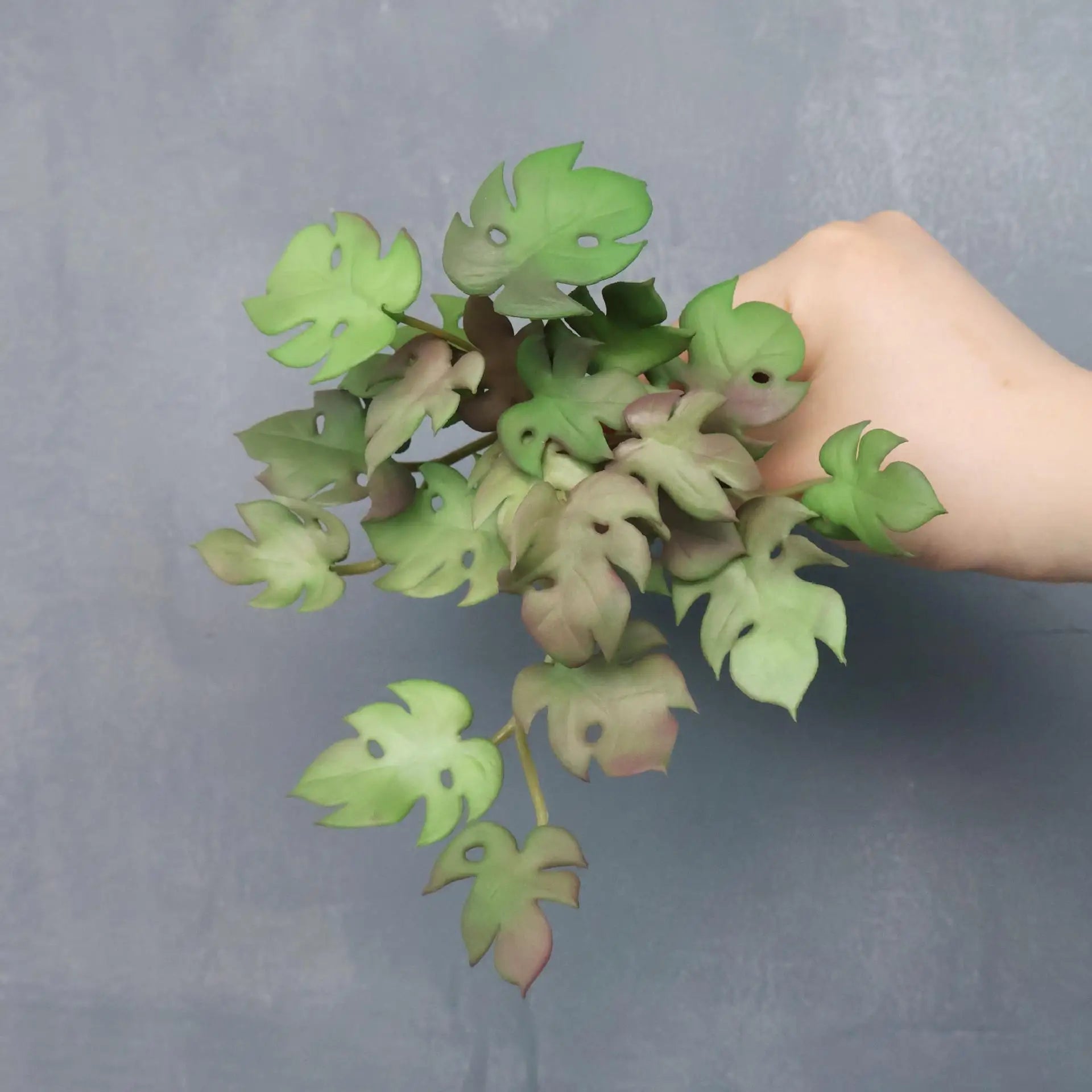 17CM Artificial Plant Mini Bouquets Copper Coin Grass Soft Rubber False Green Plants Wall Hung for Home Office Garden