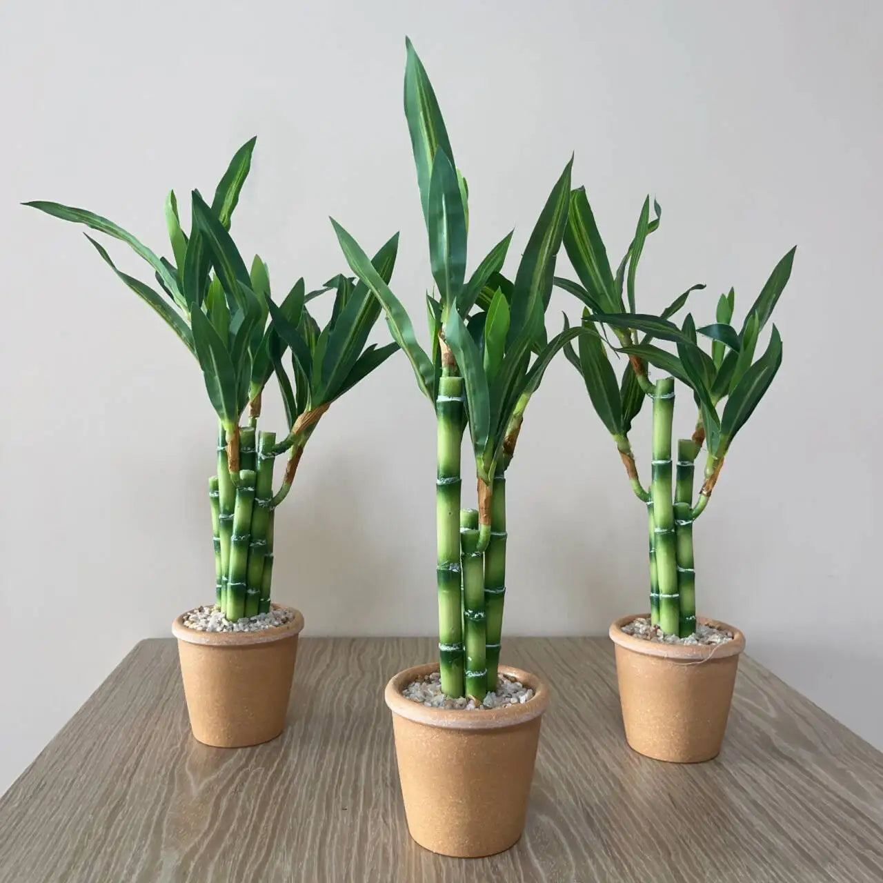 Artificial Lucky Bamboo Plant Green Potted Garden Outdoor Living Room Desktop Aesthetic Space Tropical Rainforest Home