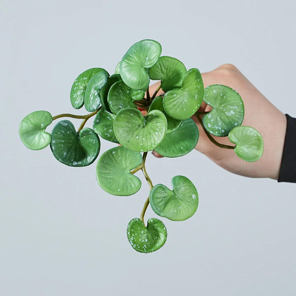 17CM Artificial Plant Mini Bouquets Copper Coin Grass Soft Rubber False Green Plants Wall Hung for Home Office Garden