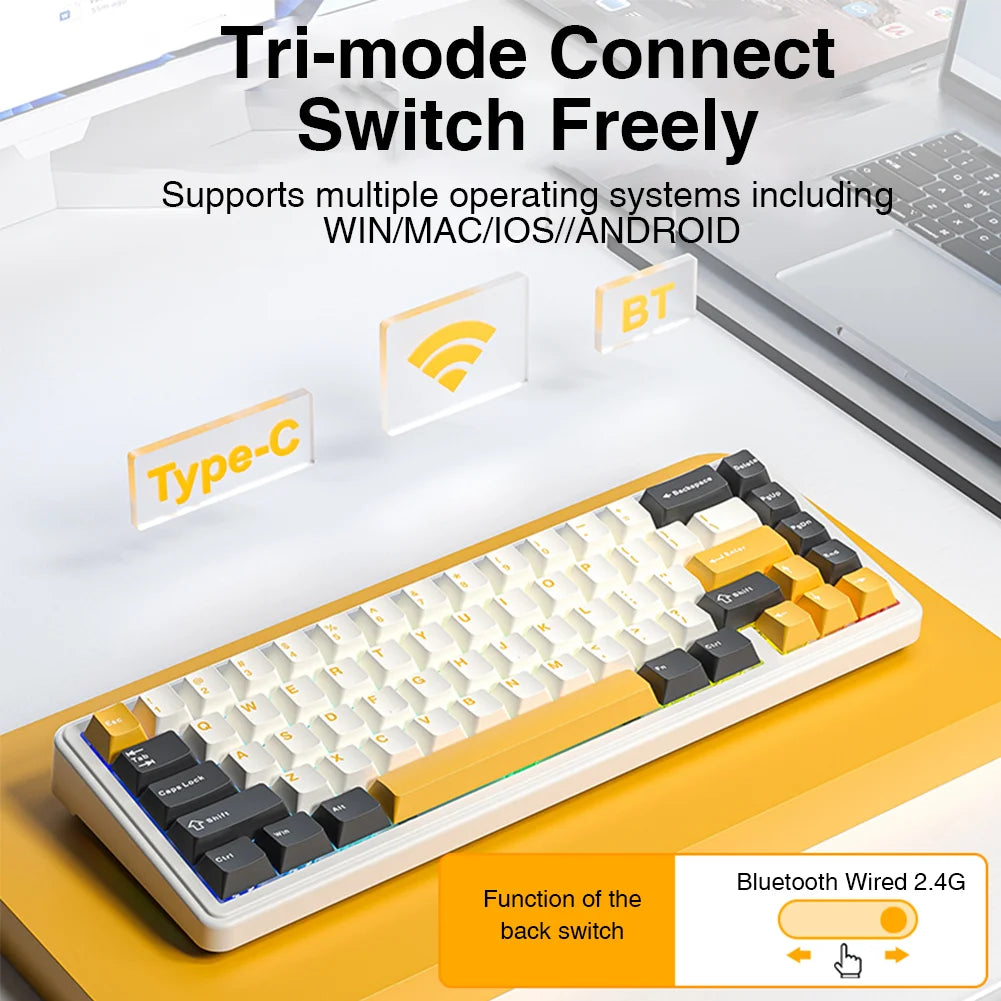 AULA F65 65% Layout Hot-Swap Gasket-mounted Wireless Mechanical Keyboard Macro Software RGB Mini Gaming Keyboard